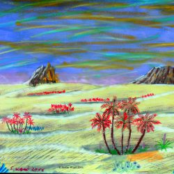 Wüste auf Xamour (C) Stefan Wepil